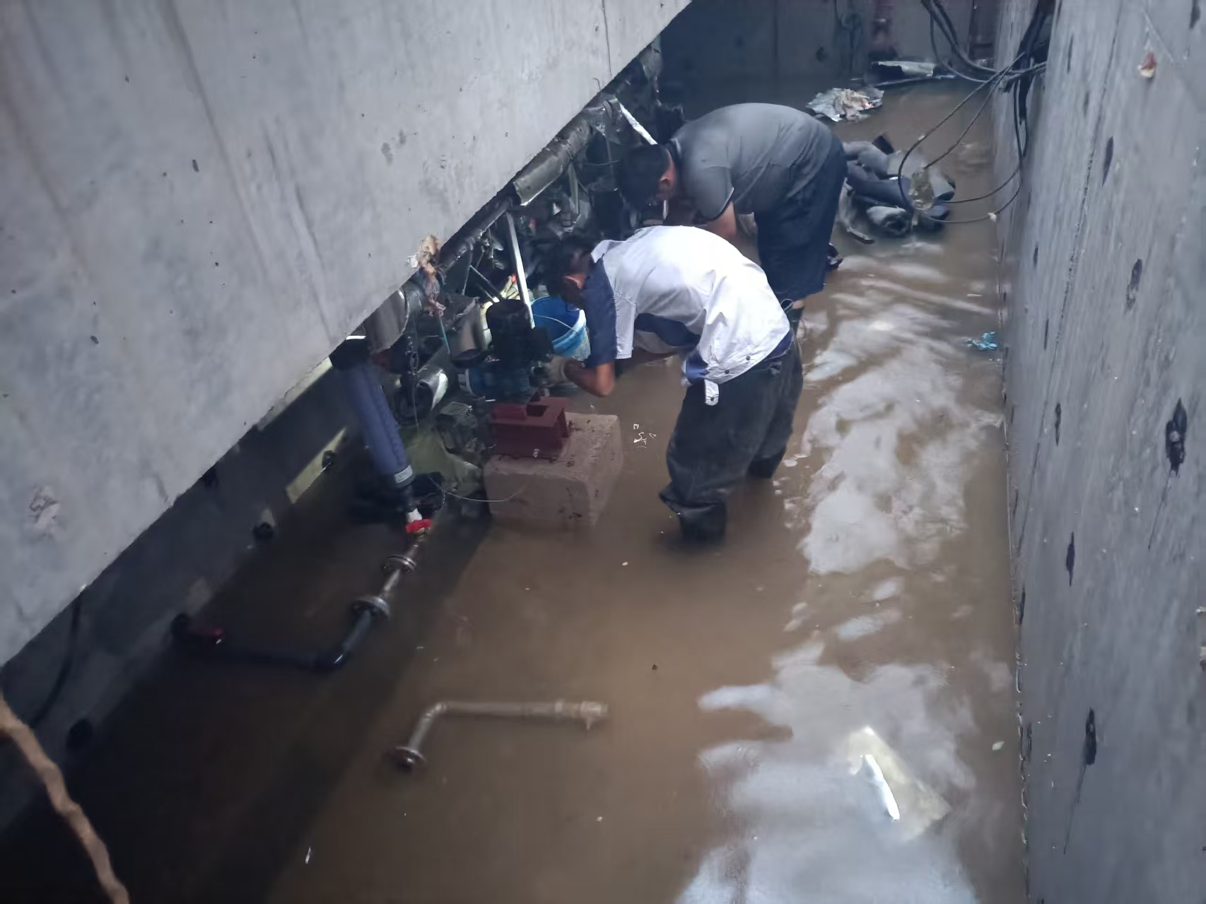 1753203516964.jpg b0694f5cb1e69b65b4c301b7321ca0d.jpg