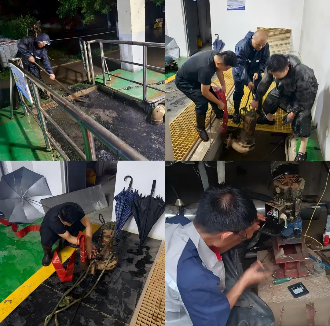 1753203529246.jpg 拼圖1(1).jpg